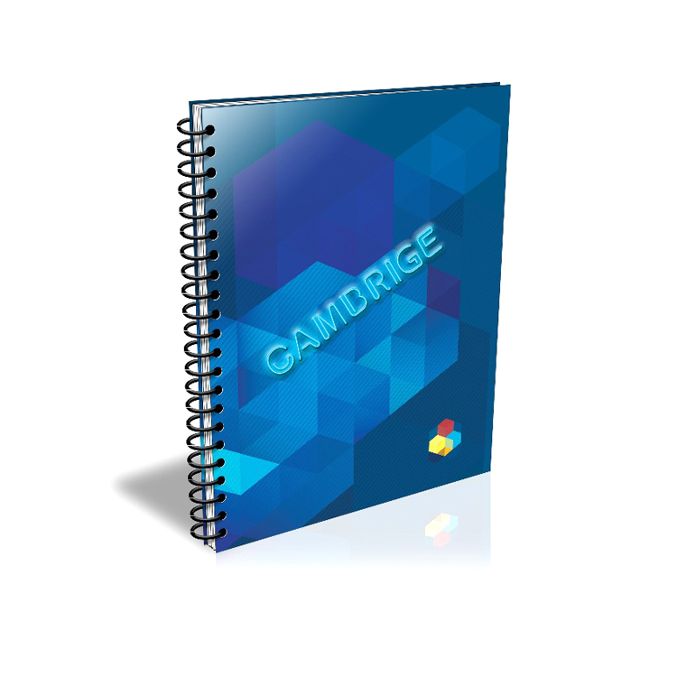 Cambridge wired 0.5 cm squared A4 copybook -EIFFEL