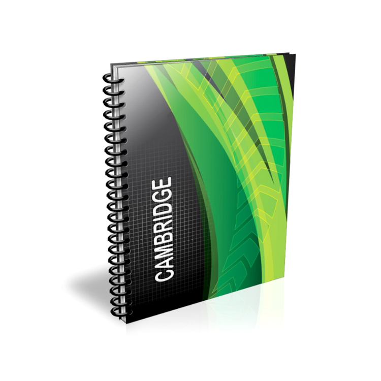Cambridge wired 0.5 cm squared A4 copybook -EIFFEL